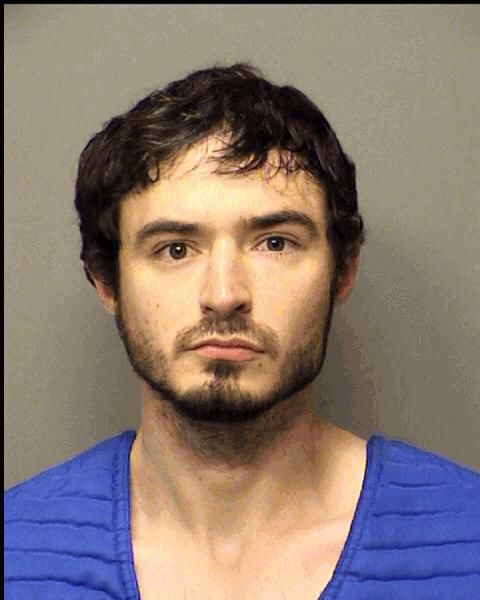 Travis Avrum Delaney